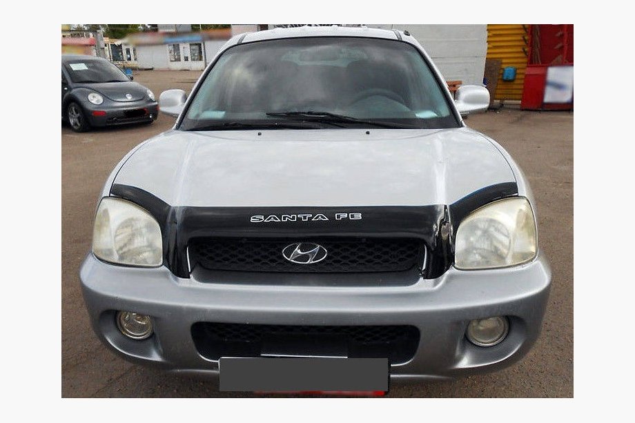 Hyundai Santa Fe 1 2000–2006 Deflektor kapoty (VIP) Image