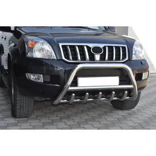 Nízky bullbar WT003 (nerez) fotografia 1