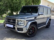 Mercedes G class W463 1990–2018 Predný ochranný rám (AMG) fotografia 1