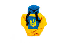 Poťah radiacej páky mikina–hoodie (Ukrajina) fotografia 5