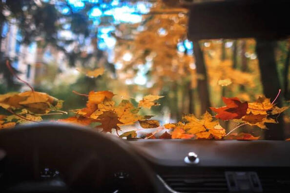 Ako pripraviť svoje auto na jeseň