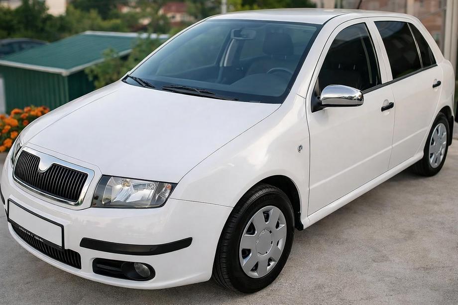 Skoda Fabia 2000–2007 Nerezové kryty zrkadiel 2006↗ (2 ks) Image