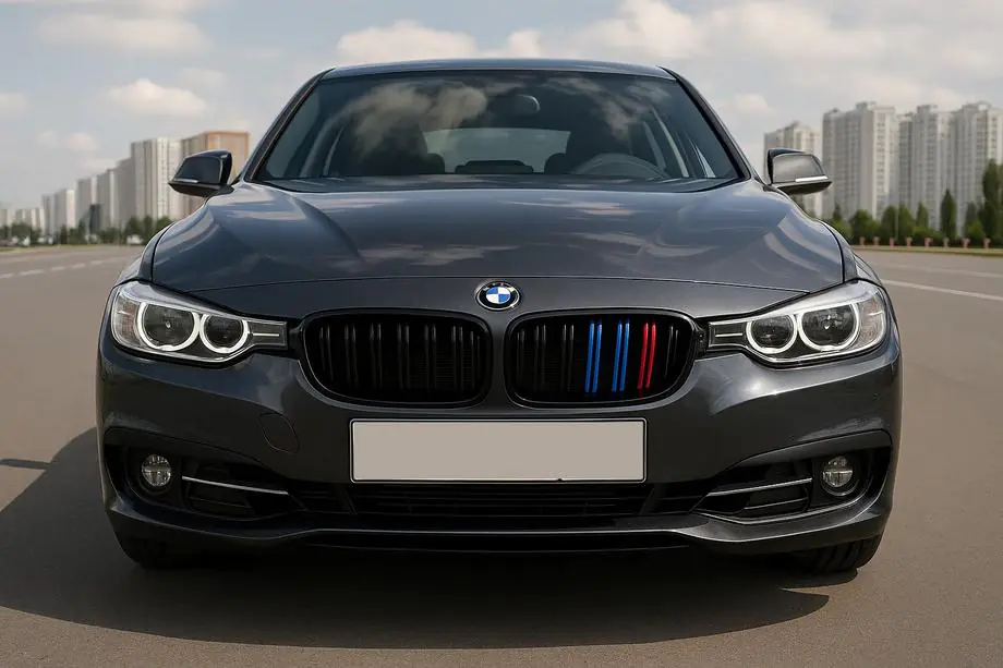 BMW 3. séria F34 2013–2020 M-Look obličkové mriežky (M-Color) Image