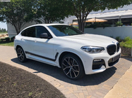 BMW X3 G01 2018– Obličky 1 Bar (2018-2021, čierny lesklý) fotografia 3