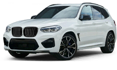 BMW X3 G01 2018– Obličky 1 Bar (2018-2021, čierny lesklý) fotografia 1