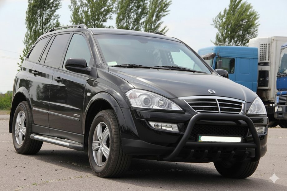 SsangYong Action 2005–2018 Bullbar WT003 Black (nerez) Image