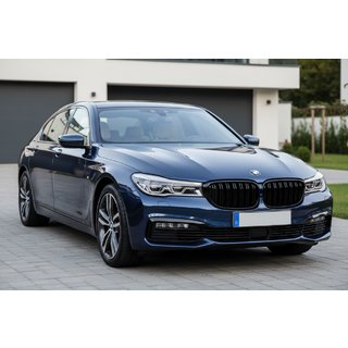 M-Look obličkové mriežky (2016-2019, čierny lesk) BMW 7. séria G11/G12 2015–2022 fotografia 1