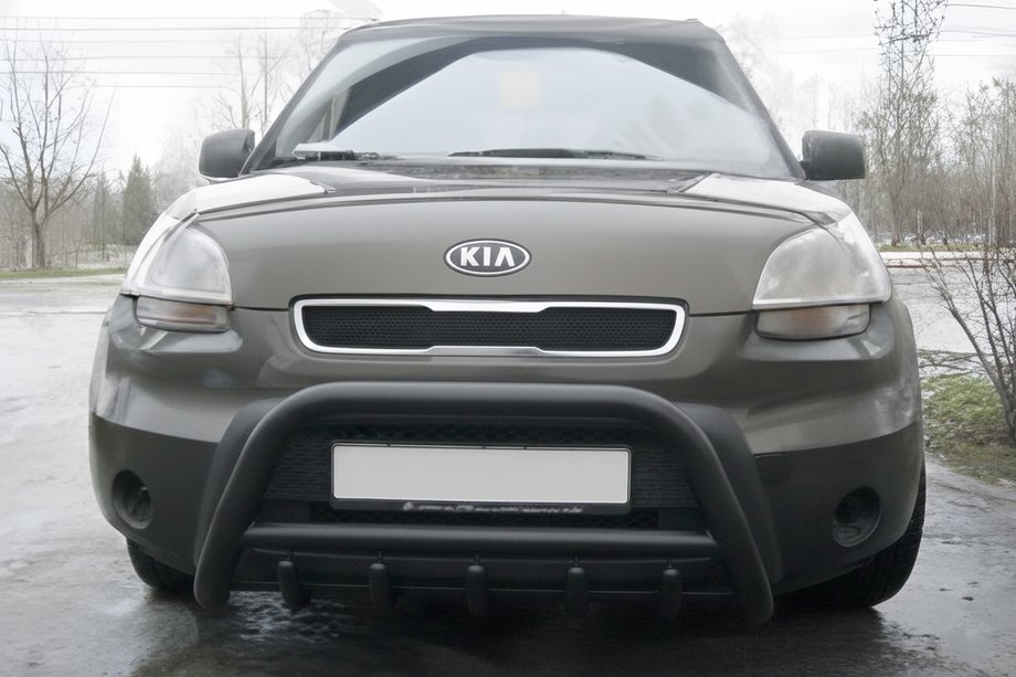 Kia Soul I 2008–2013 Bullbar WT003 Black (nerez) Image