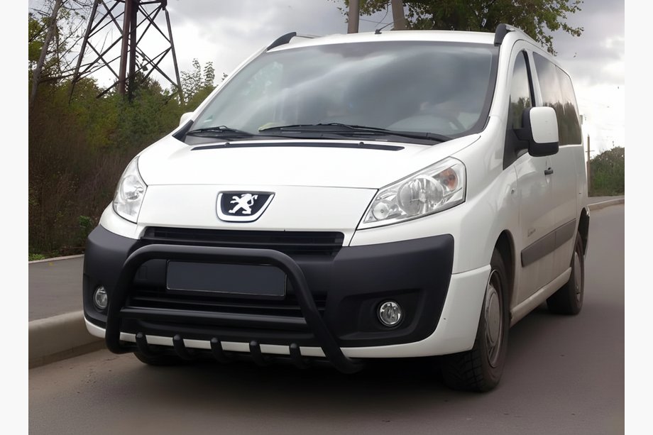 Peugeot Expert 2007–2016 Bullbar WT003 Black (nerez) Image