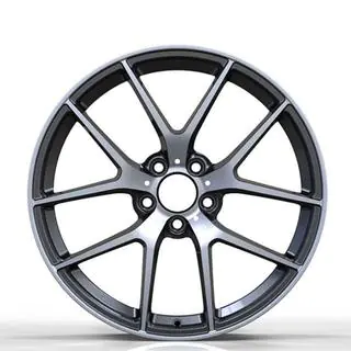Kované disky DH-Style V20 R19