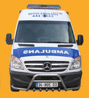 Mercedes Sprinter W906 2006–2018 Predný ochranný rám WT003-Plus (nerez) fotografia 7