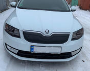 Skoda Octavia III A7 2013–2019 Zimná clona na mriežku chladiča (2013-2017) fotografia 2