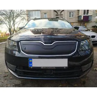 Zimná clona na mriežku chladiča (2013-2017)