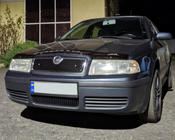 Skoda Octavia I Tour A4 1996–2010 Zimná clona chladiča (horná) fotografia 3