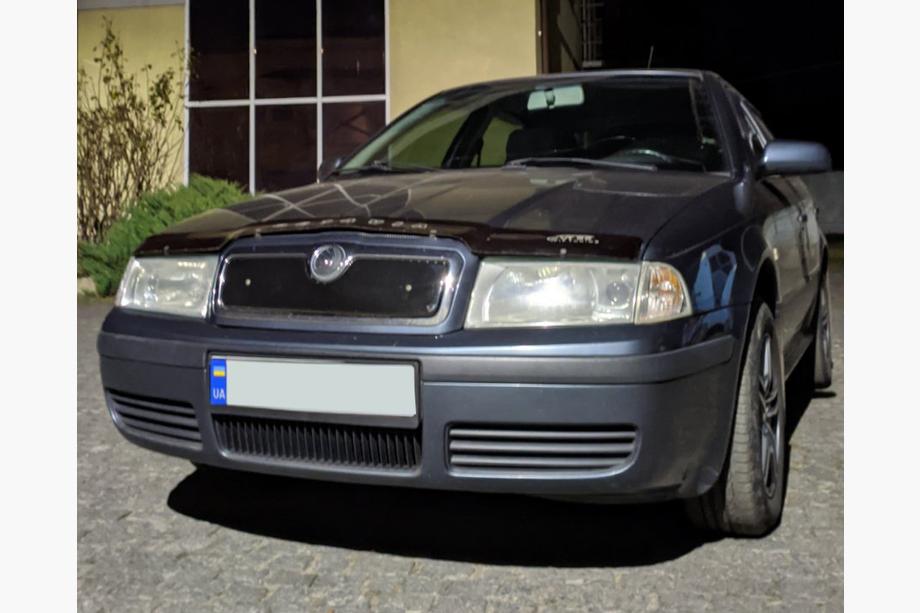 Skoda Octavia I Tour A4 1996–2010 Zimná clona chladiča (horná) lesklý Fotografia 3