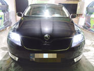 Skoda Rapid 2012–2019 Zimná clona chladiča (horná) Matná fotografia 1
