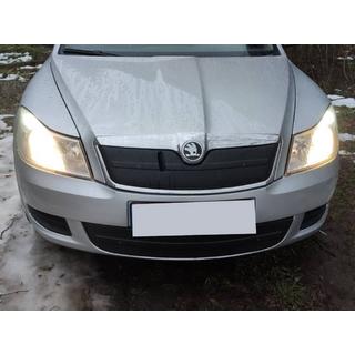 Zimná clona na masku chladiča (spodná) Skoda Octavia II A5 2010–2013 fotografia 2