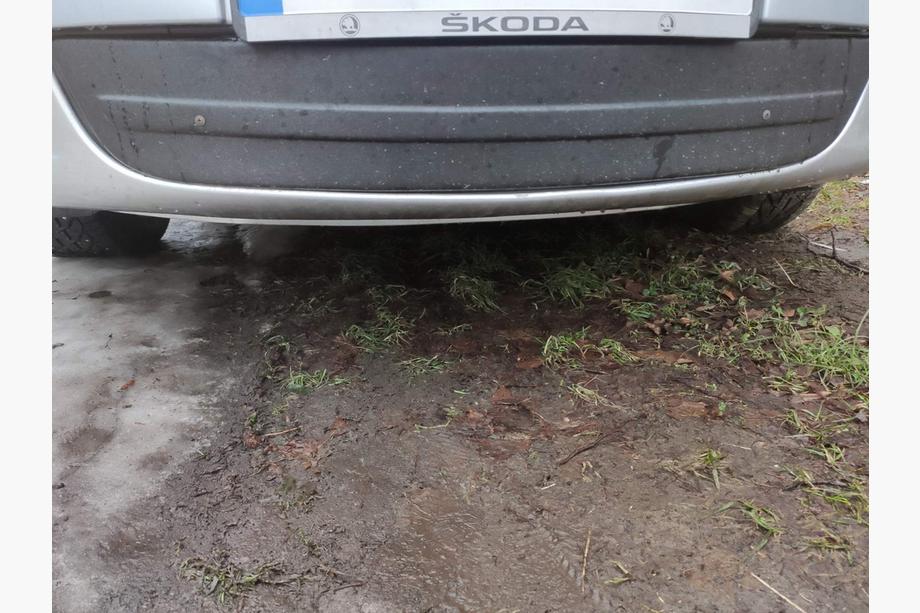 Skoda Octavia II A5 2010–2013 Zimná clona na masku chladiča (spodná) Image