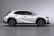 Recenzia nového kompaktného crossovera Lexus UX 200 fotografia 4