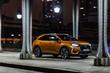 Recenzia prémiového crossoveru DS 7 Crossback fotografia 3