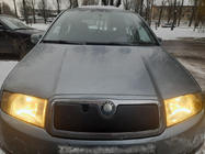 Skoda Fabia 2000–2007 Zimná clona chladiča (mriežky) fotografia 1