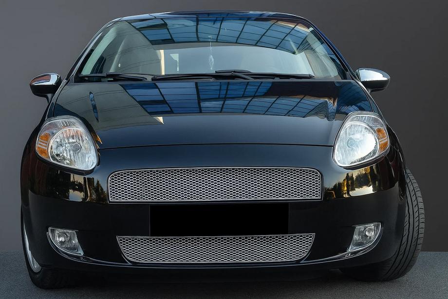 Fiat Punto Grande/EVO 2006–2018 Nerezové lišty na masku chladiča (2 ks) Image