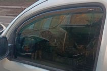 Mercedes Citan 2013–2021 Vkladané okenné deflektory (2 ks, HIC) fotografia 9