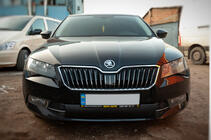 Skoda Superb 2015–2024 Zimná clona na masku chladiča (2015-2019, spodná) fotografia 1
