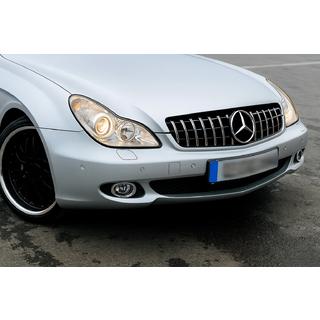 Predná maska chladiča (2008-2010, GT Panamericana) Mercedes CLS C219 2004–2010 fotografia 1