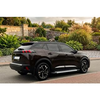 Bočné nášľapy New Vision Grey (2 ks, hliník) Peugeot 3008 2016–2023 fotografia 1