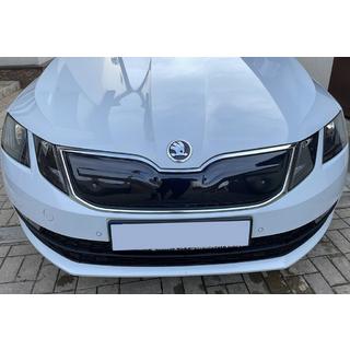 Zimná mriežka (2017-2020) Skoda Octavia III A7 2013–2019 fotografia 1