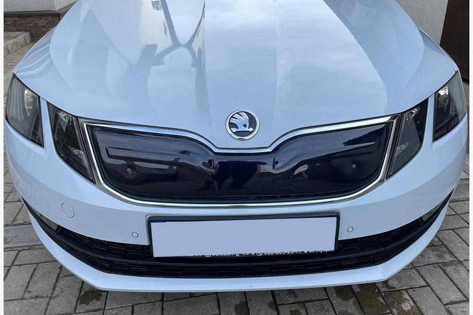 Skoda Octavia III A7 2013–2019 Zimná mriežka (2017-2020) matná Image