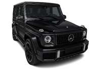 Mercedes G class W463 1990–2018 Predná maska (GT Panamericana, bez chrómu) fotografia 4