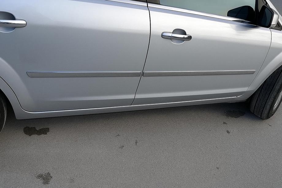 Ford C-Max 2004–2010 Nerezové dverné lišty (4 ks) Carmos - turecká oceľ Image