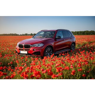Bočné nášľapy Maya Red (2 ks., hliník) BMW X5 F15 2013–2018 fotografia 1