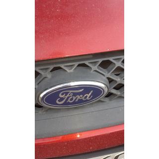 Predná embléma (na klipsoch) Ford Fiesta 2002–2008 fotografia 4