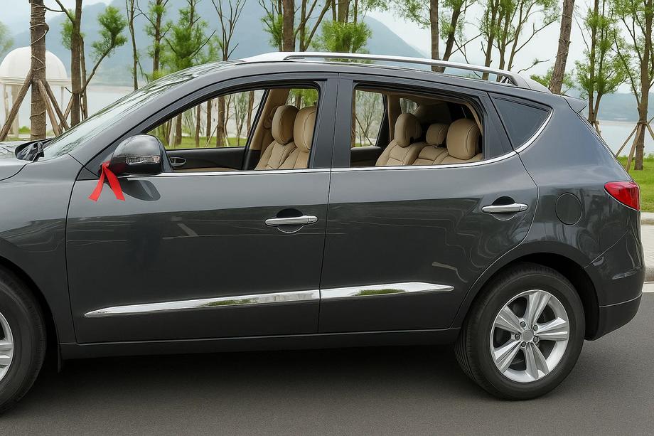 Geely Emgrand X7 2011– Dverové lišty Libao (4 ks, plast) Image