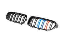 BMW rad 3 F30/F31 2012–2019 M-Look obličkové mriežky (M-Color) fotografia 6