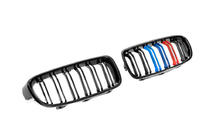 BMW rad 3 F30/F31 2012–2019 M-Look obličkové mriežky (M-Color) fotografia 5